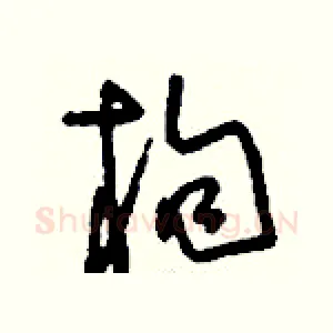 枸