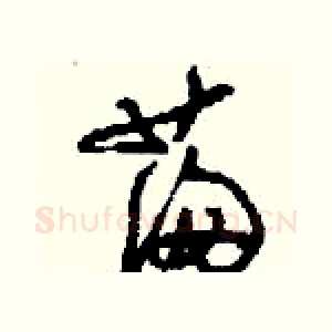 滿