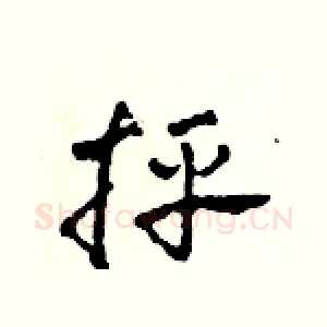 抨