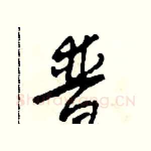 普