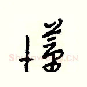 懂