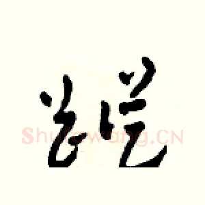踪