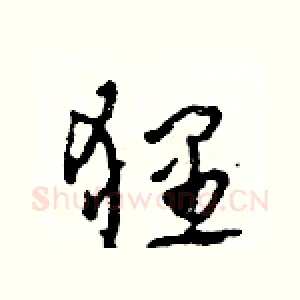 狸