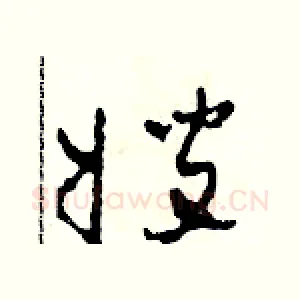 嫂