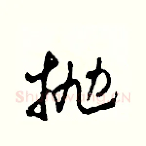 拋