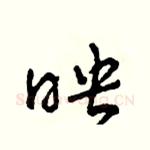 映