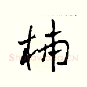 柿