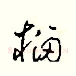 榴