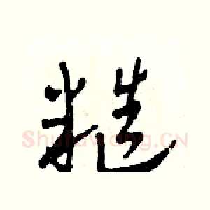 糙