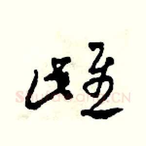 雌