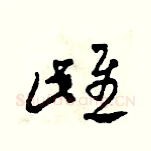 雌