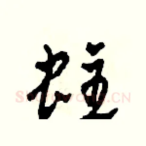 蛀