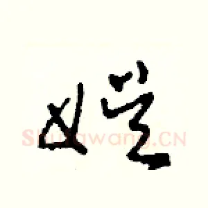 娛