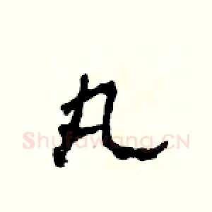 丸