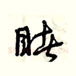睹