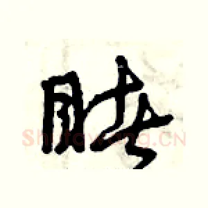 睹
