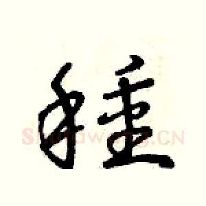 種