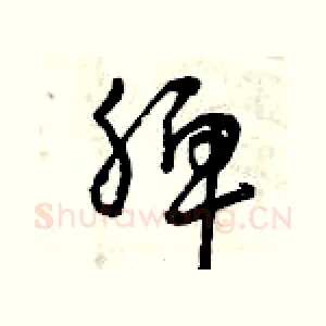脾