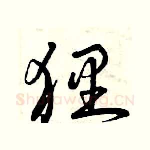 貍