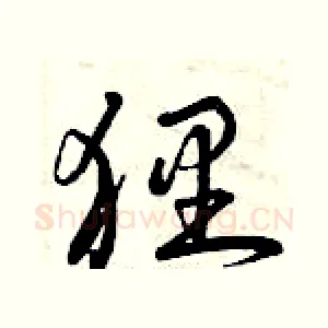 貍