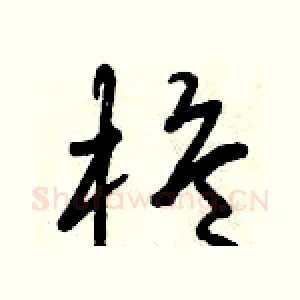 桅