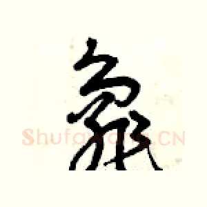 龜