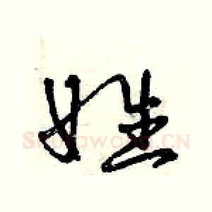 姓