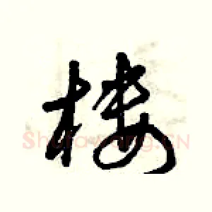 樓