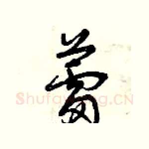 蕾