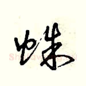 蛛