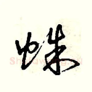 蛛