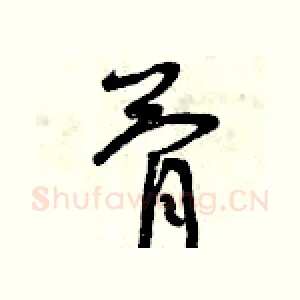 骨