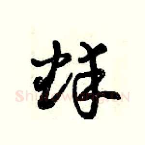 蚌