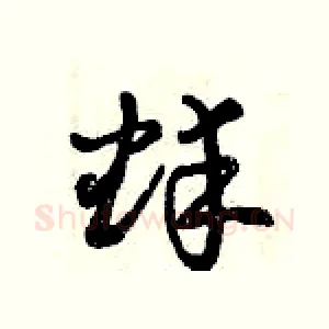 蚌