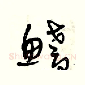 鰭
