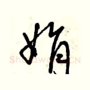 絹