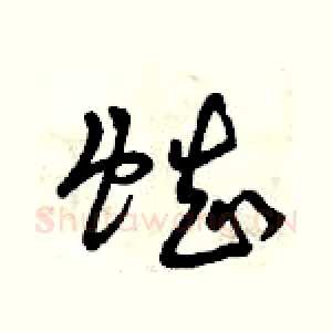 蜘