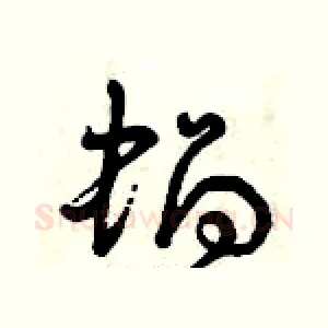 蝸