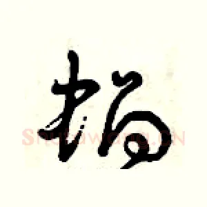 蝸