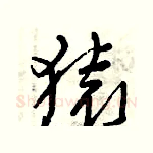 猿