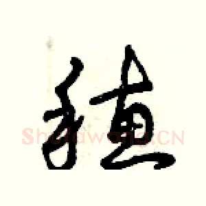 穗