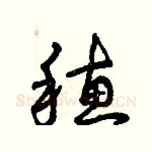 穗