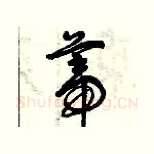 蒂