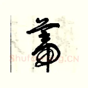 蒂
