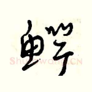 鳄