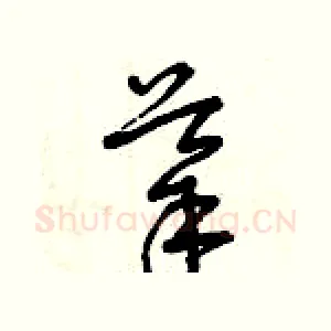 導