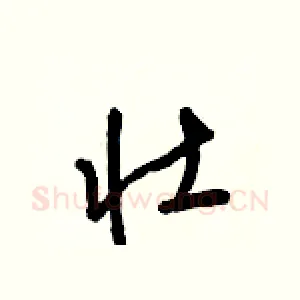 壮