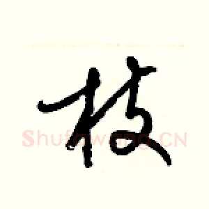 枝