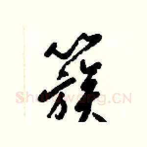 簇