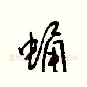 蛹